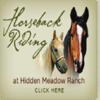 hidden-meadow-ranch-az