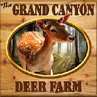 the-grand-canyon-deer-farm-az