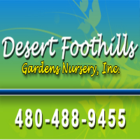 desert-foothills-gardens-nursery-az