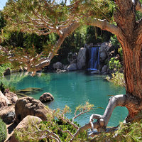 japanese-friendship-garden-az