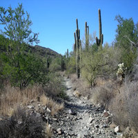 cave-creek-regional-park-az