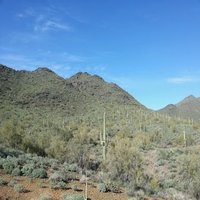 mcdowell-mountain-regional-park-az