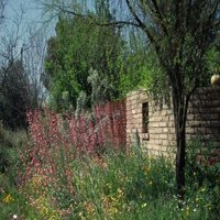 tucson-botanical-garden-az