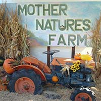 mother-nature's-farm-halloween-pumpkin-patch-GETAWAY-WITH-KIDS-AZ
