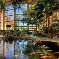 Embassy Suites Hotel Phoenix Biltmore Arizonas most romantic hotel getaways