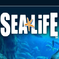 sea-life-aquariums-in-az