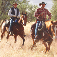 arizona horseback experience horseback riding in az