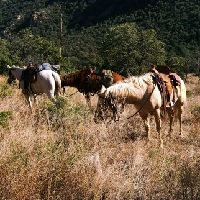 arizona's-hideout-ranch-horseback-riding-in-az