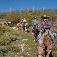 betty's trail rides horseback riding in az