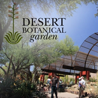 Desert Botanical Garden Sightseeing in AZ