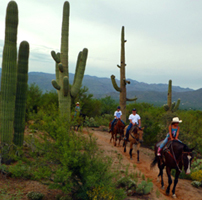 houston's-horseback-riding-horseback-riding-in-az