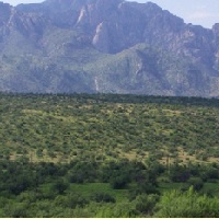 pusch-ridge-stables-horseback-riding-in-az