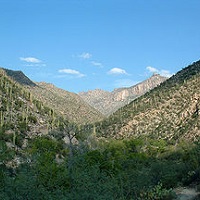 Sabino Canyon Sightseeing in AZ