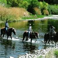 saguaro-lake-ranch-trail-rides-horseback-riding-in-az