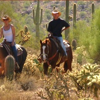 white stallion ranch horseback riding in az